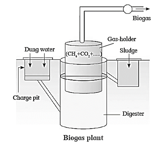 Draw a diagrammatic sketch of a biogas plant, and label its various  components given below: Gas Holder, Sludge Chamber, Digester, Dung+water  chamber.