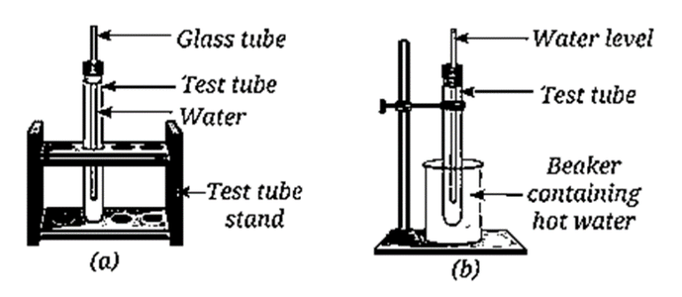 Solutions Ncert Class 8 Science Curiosity Chapter 9 The Amazing World